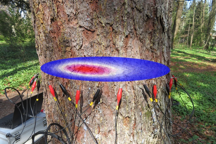 腾博汇游戏官网·(中国)专业效劳,诚信为本